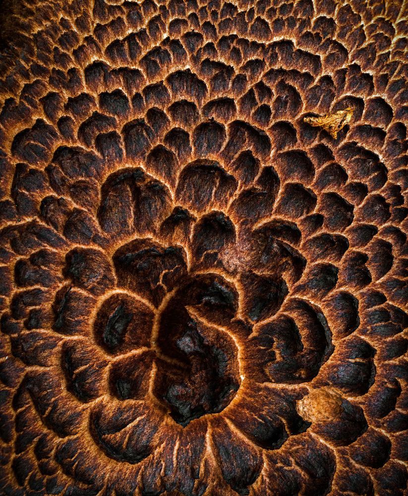 Photograph by Иван Мысов