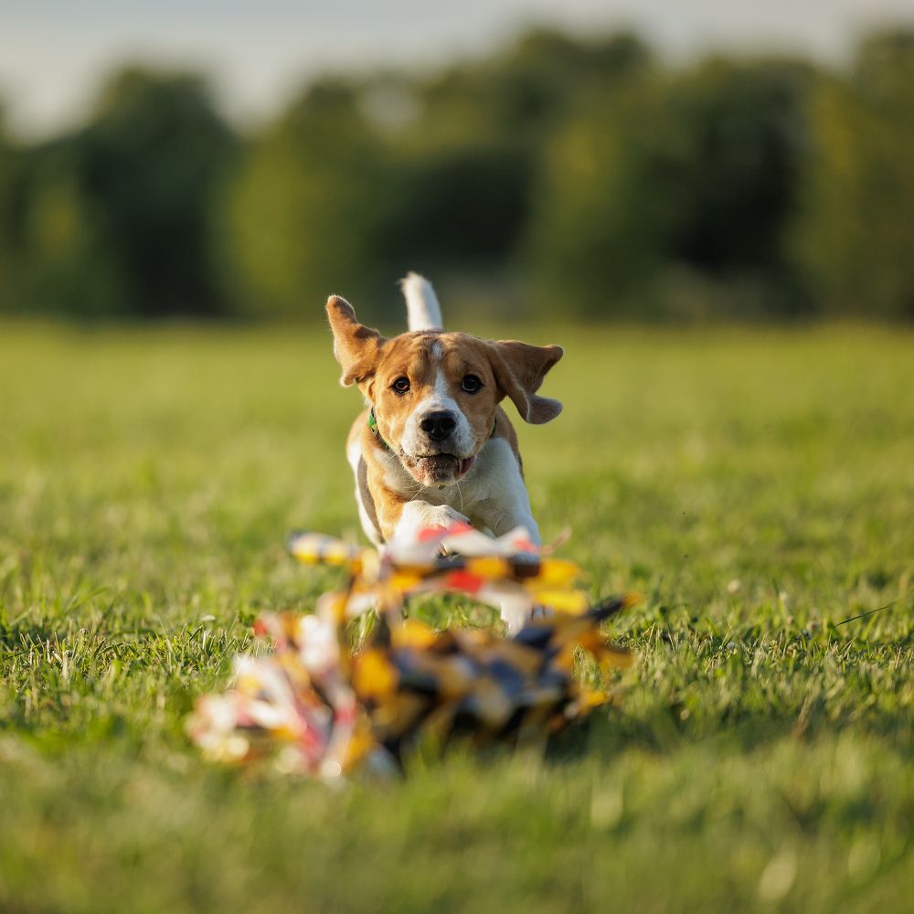 Photograph by Илья Юфа