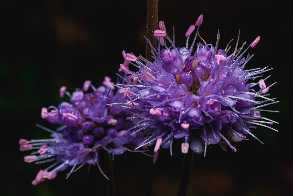 Photograph by Екатерина Котляренко