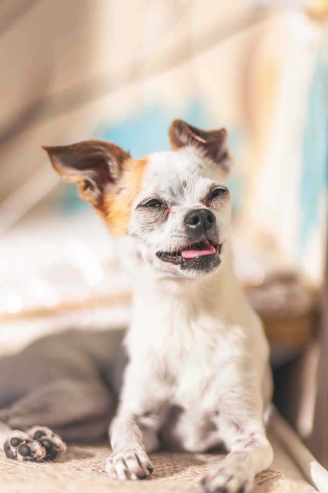 Photograph by Андрей Данилов