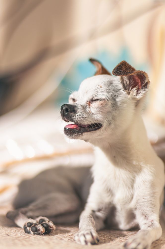 Photograph by Андрей Данилов