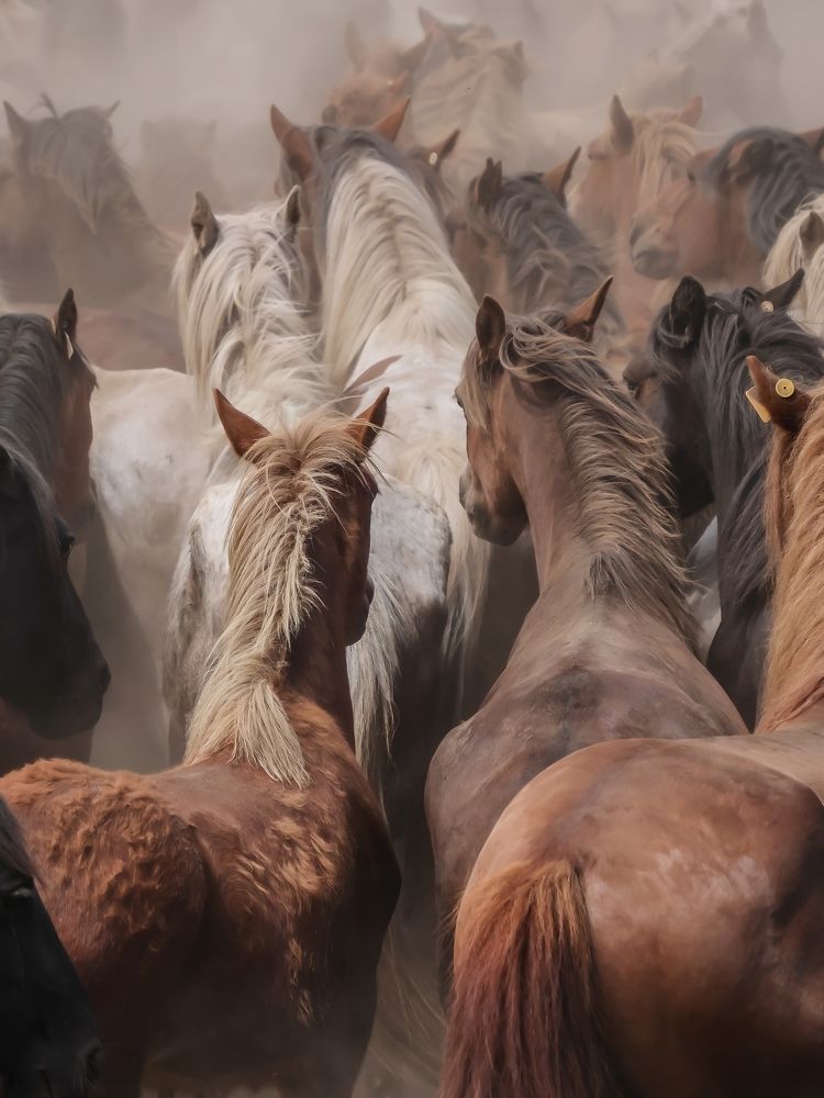 Photograph by Jose Antonio Novelle Cao