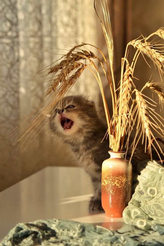 Photograph by Marina Gritchina