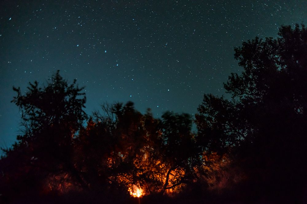 Пикник под звездами