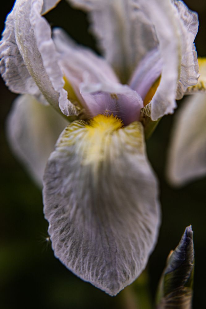 Photograph by Екатерина Долгова