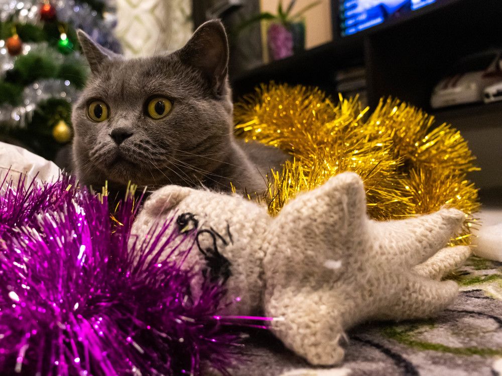 Две подружки ждут праздник