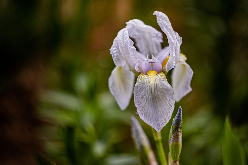 Photograph by Екатерина Долгова