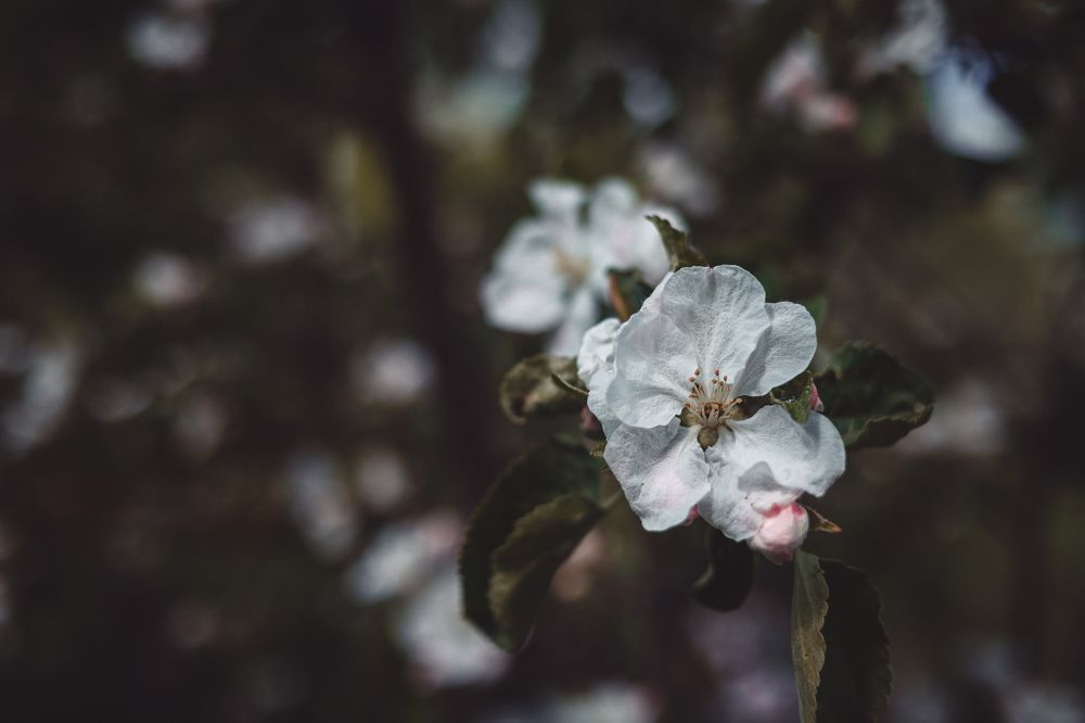 Photograph by Екатерина Долгова