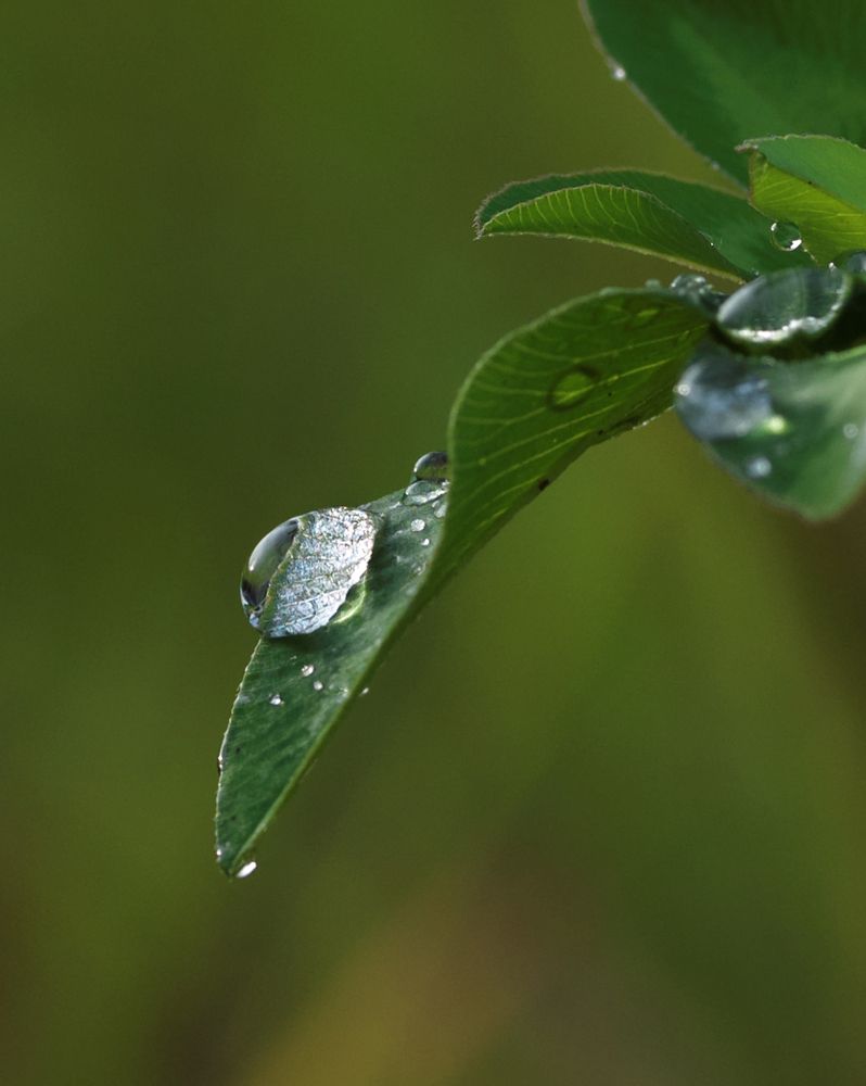 Photograph by Артем Явтушенко