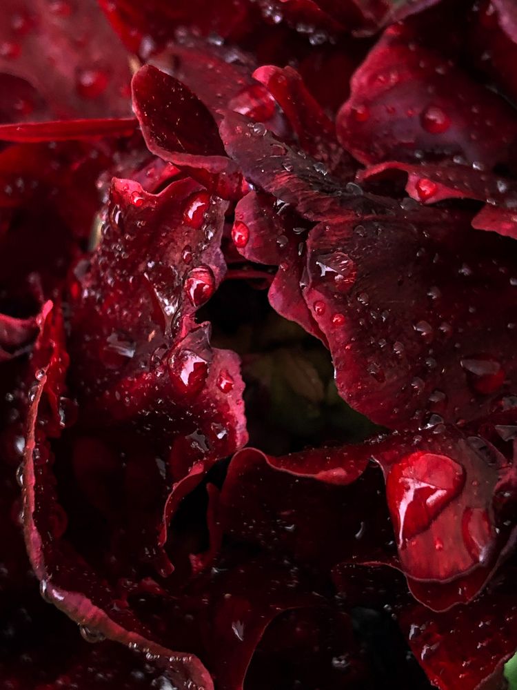 Photograph by Оксана