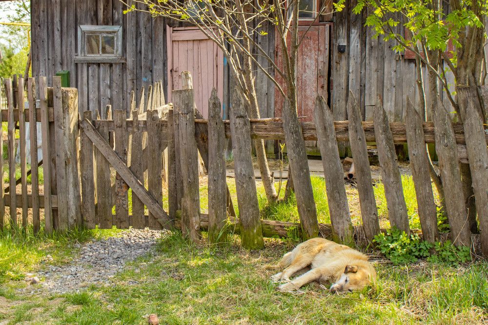 Photograph by Егор Рукавицин