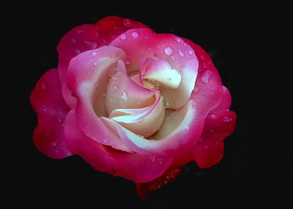 Photograph by Яр Ник