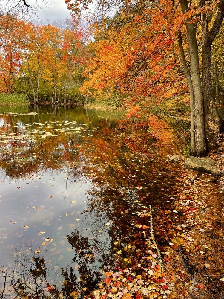 Фотография автора Olga Andriuc