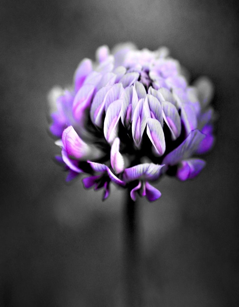 Photograph by Ирина Родионова