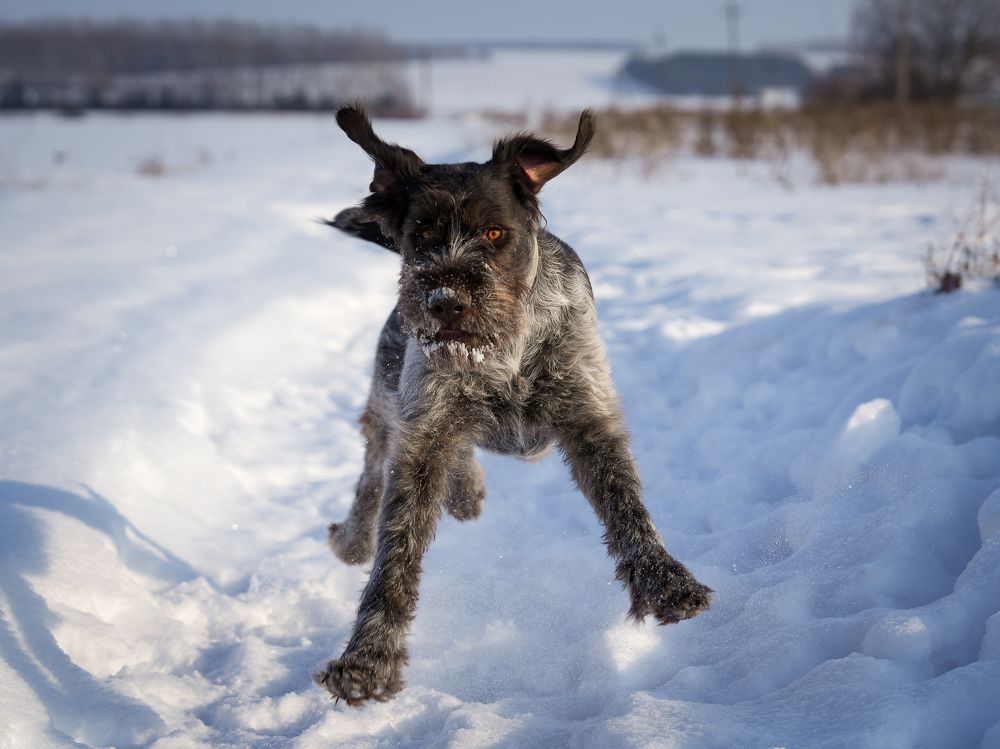 Фотография автора Александр Дюльгер