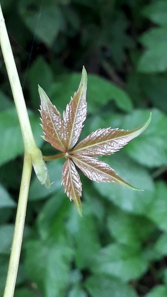 Photograph by Татьяна Солтан