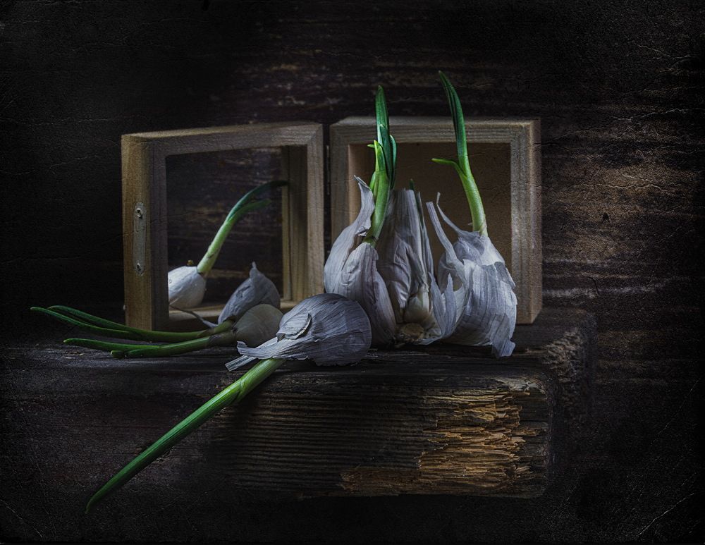 Photograph by Кулинский Вадим