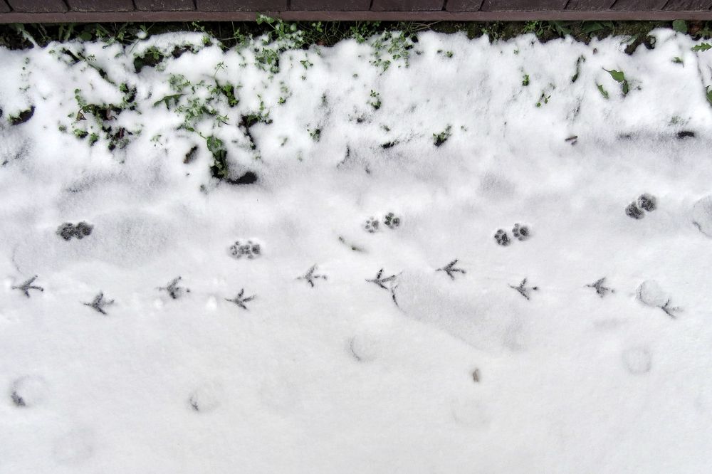 Photograph by Наташа Фишер