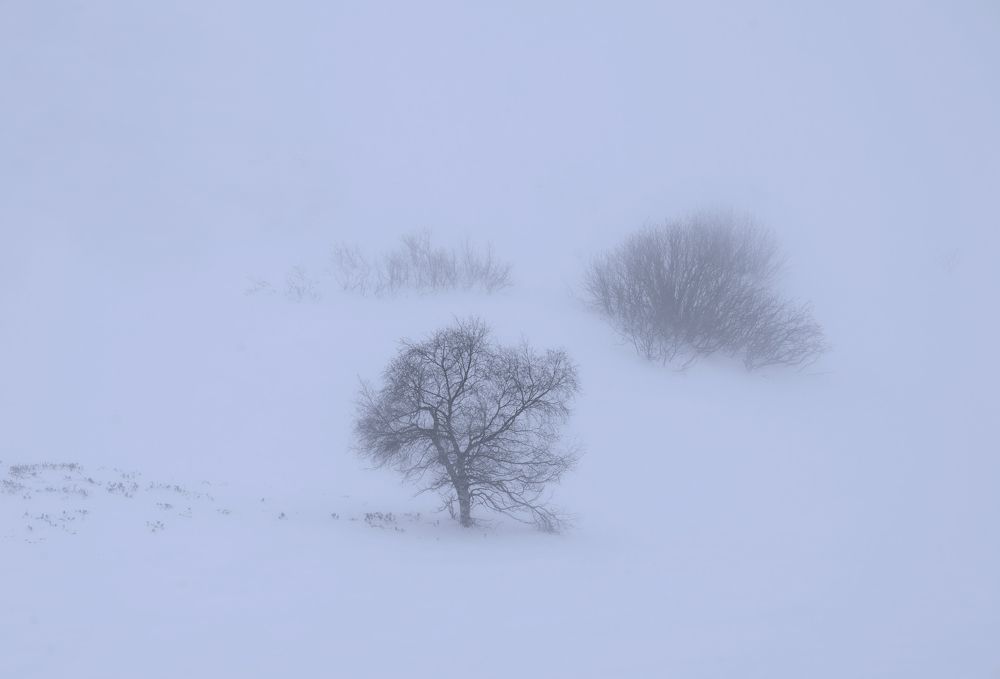 Photograph by Валерий Одинцов