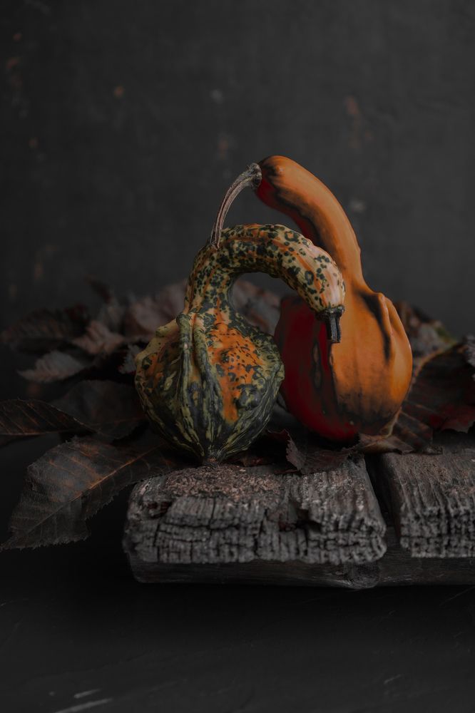 Photograph by Екатерина Андрусенко