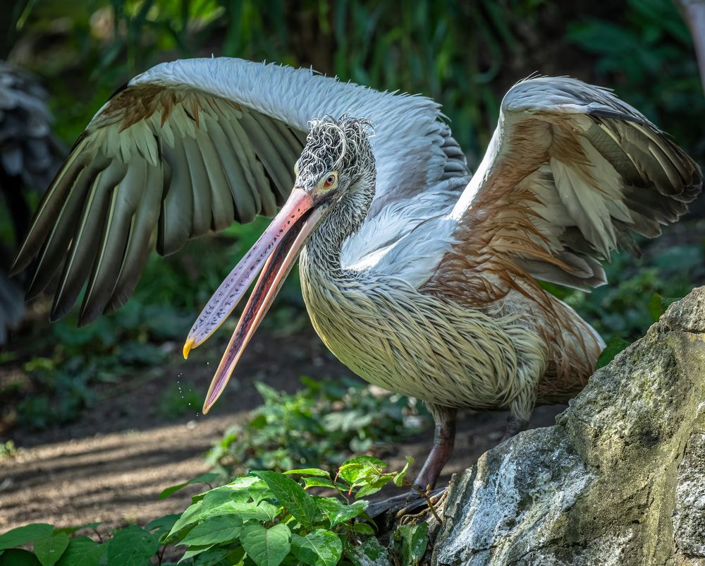 Фотография автора Erik Nelson