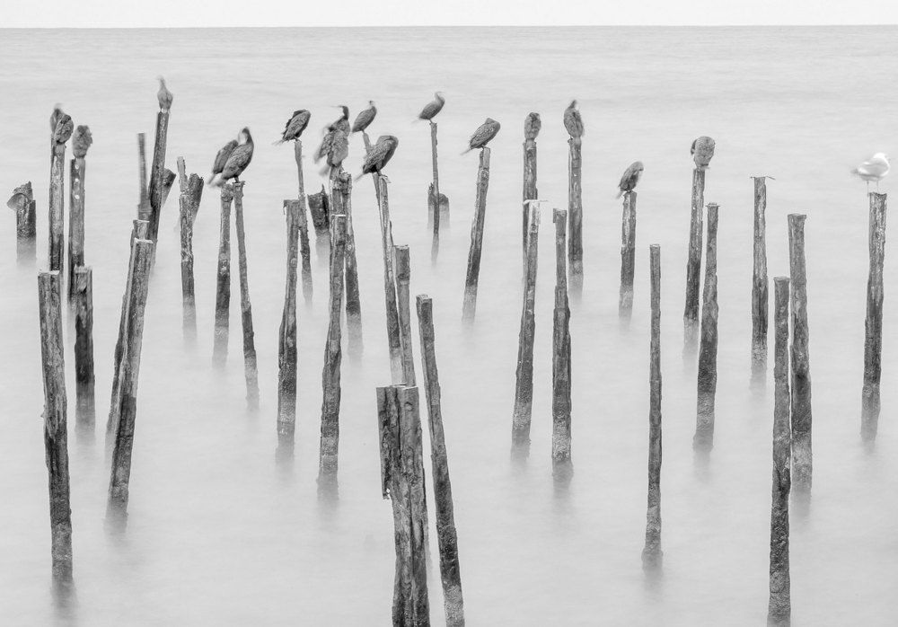 Photograph by Валерий Одинцов