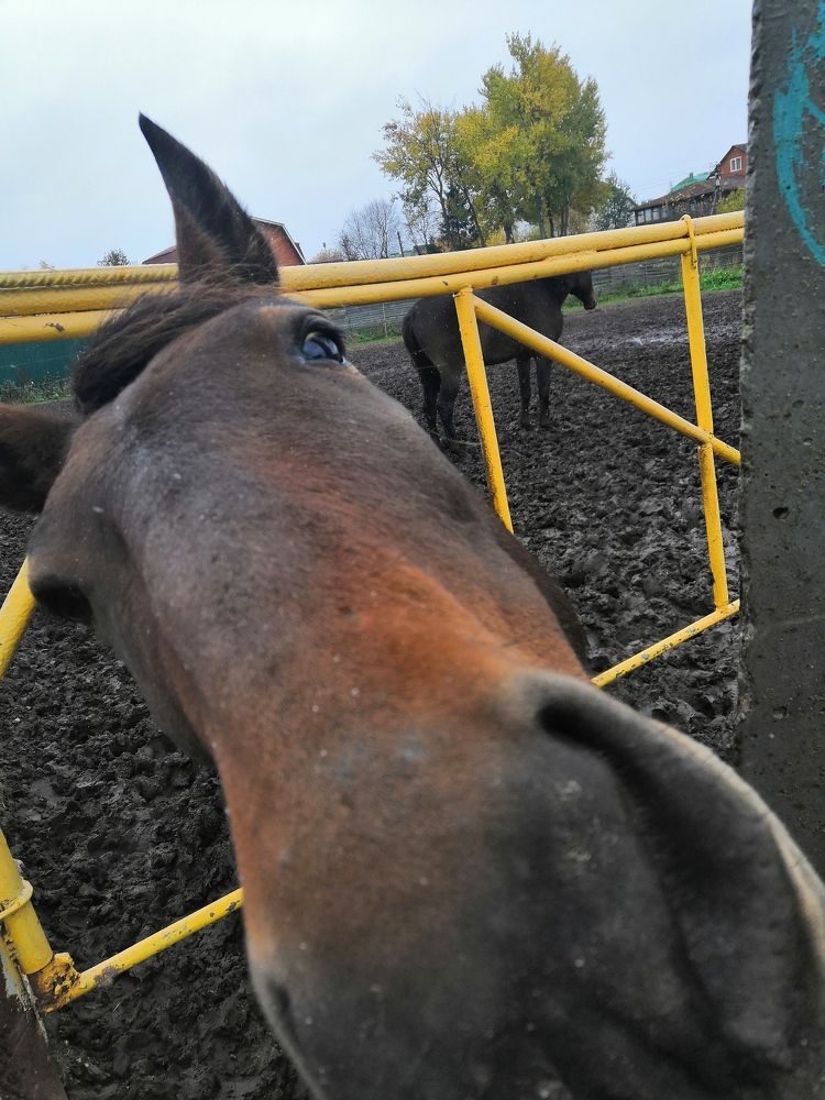 Photograph by Ольга Голованова