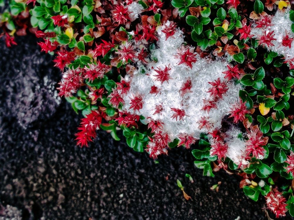 Фотография автора Ketov Vladimir