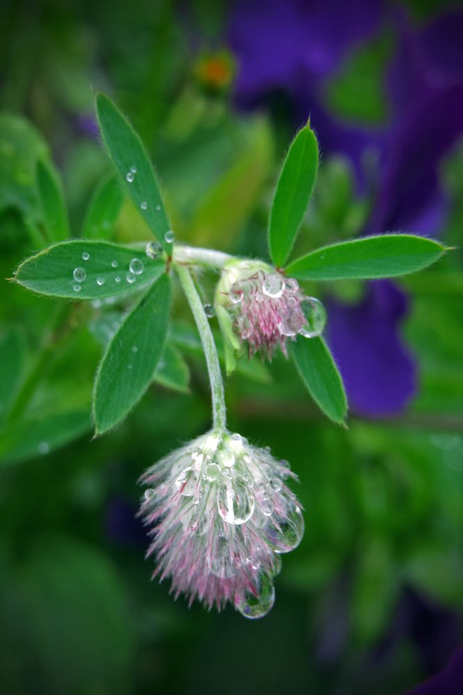 Photograph by Наташа Фишер