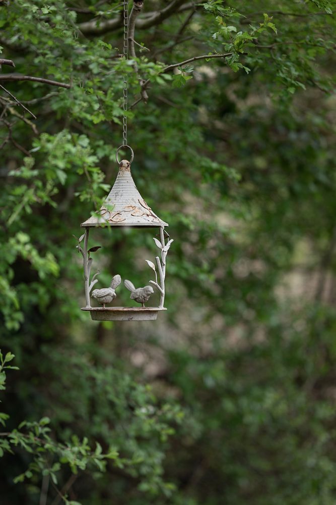 Photograph by Анастасия