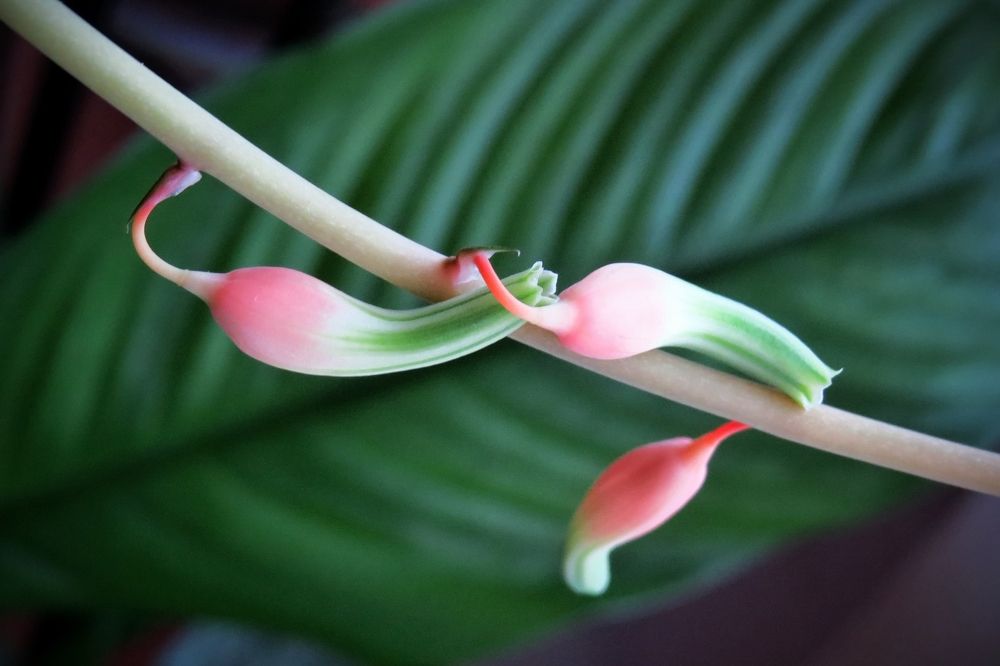 Photograph by Наташа Фишер