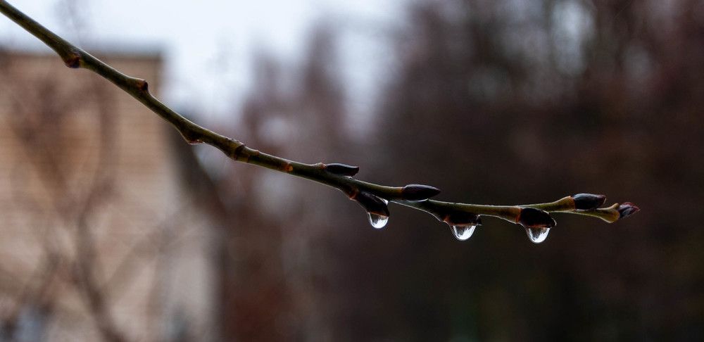 Фотография автора Виталий Дузь