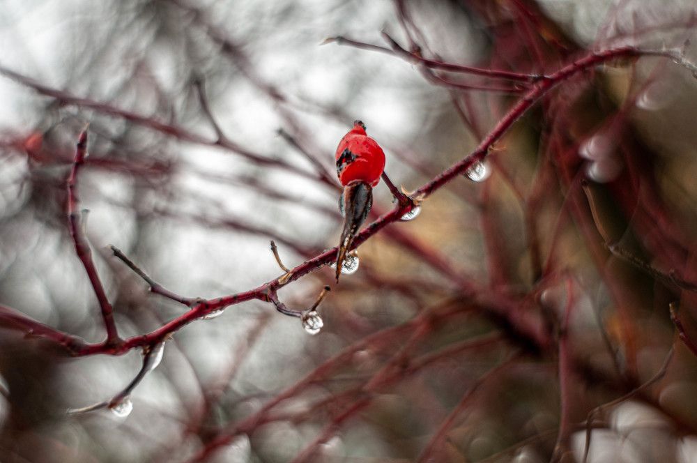 Фотография автора Виталий Дузь