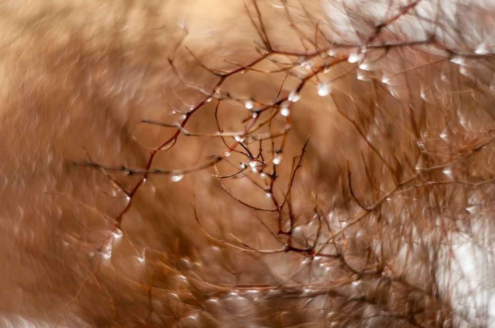 Фотография автора Виталий Дузь