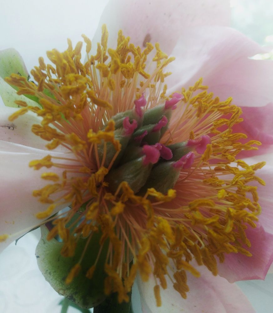 Photograph by Анна Матецкая