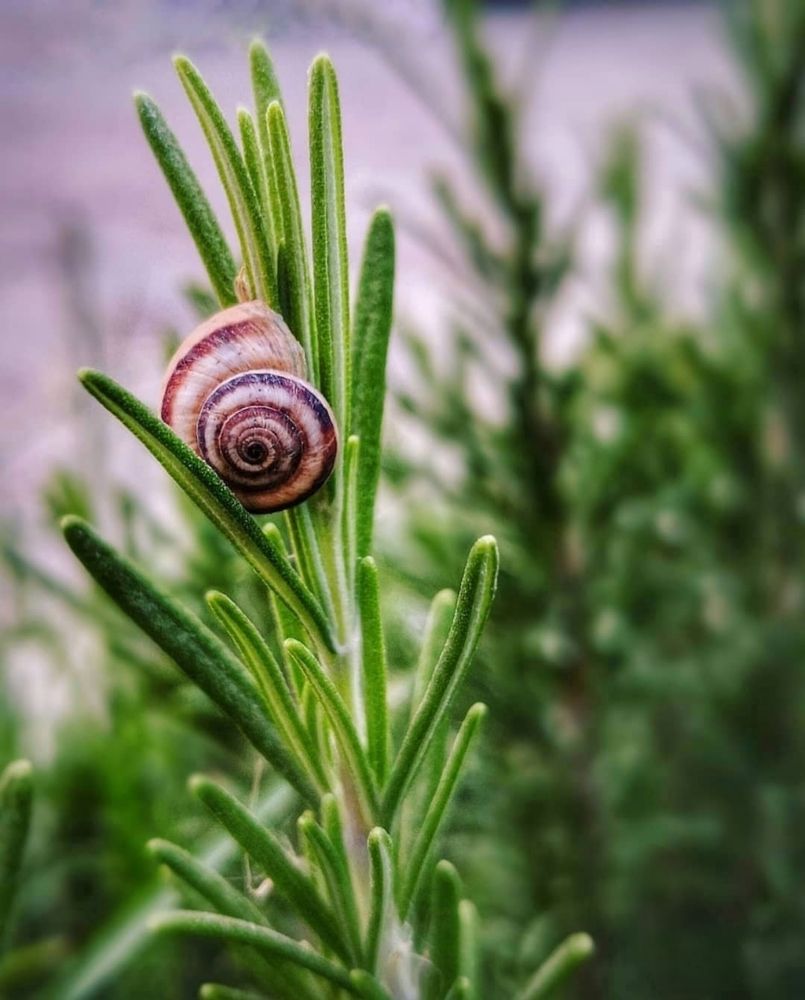 Фотография автора Zahra Seyedmorti