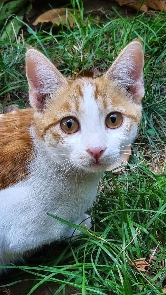 Фотография автора Zahra Seyedmorti