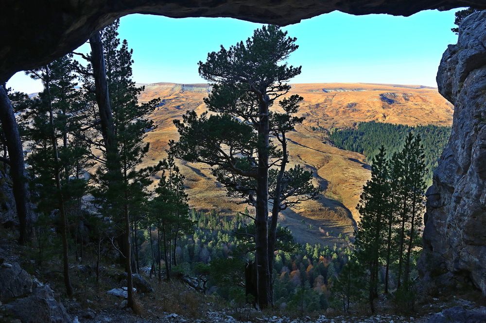 Photograph by Александр Глебов