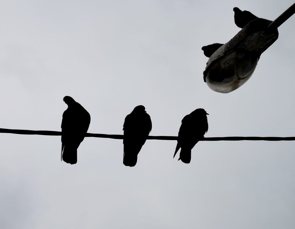 Photograph by Ольга Попченко