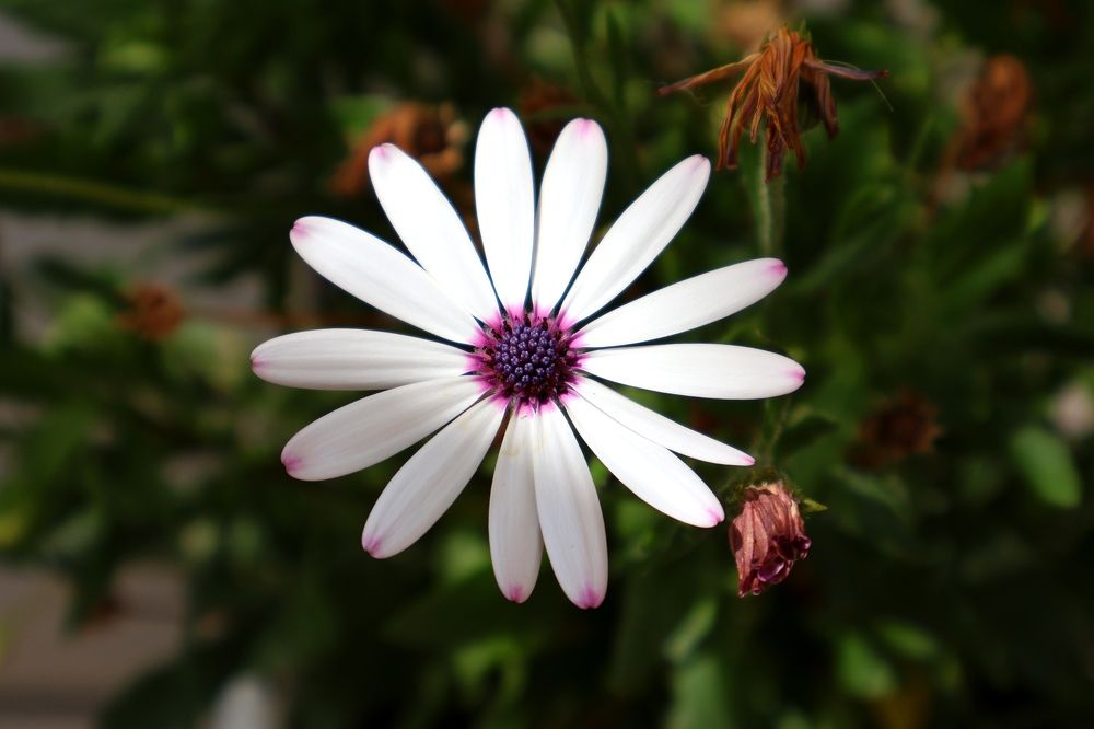 Photograph by Ольга Попченко