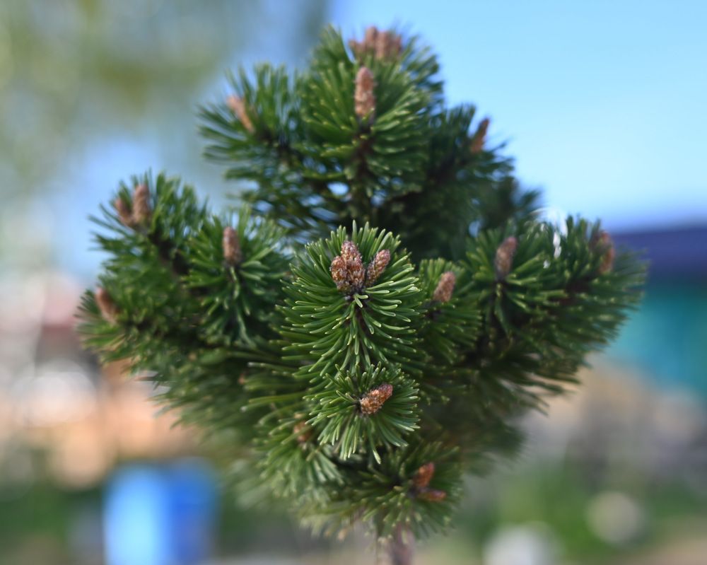 Photograph by Пётр Артемьев