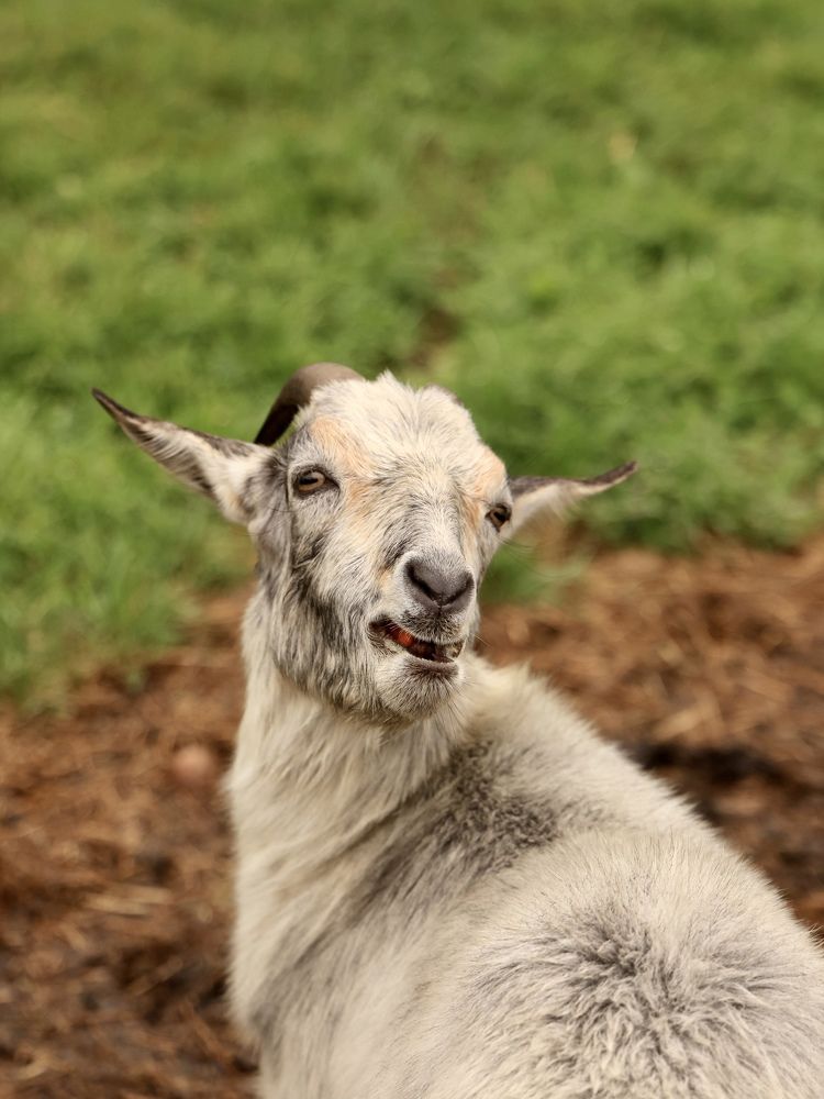 Photograph by Евгения Казакова