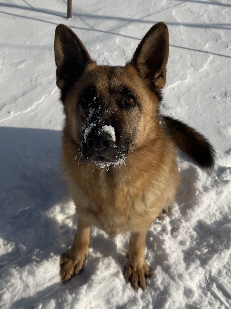 Photograph by Татьяна Токарева