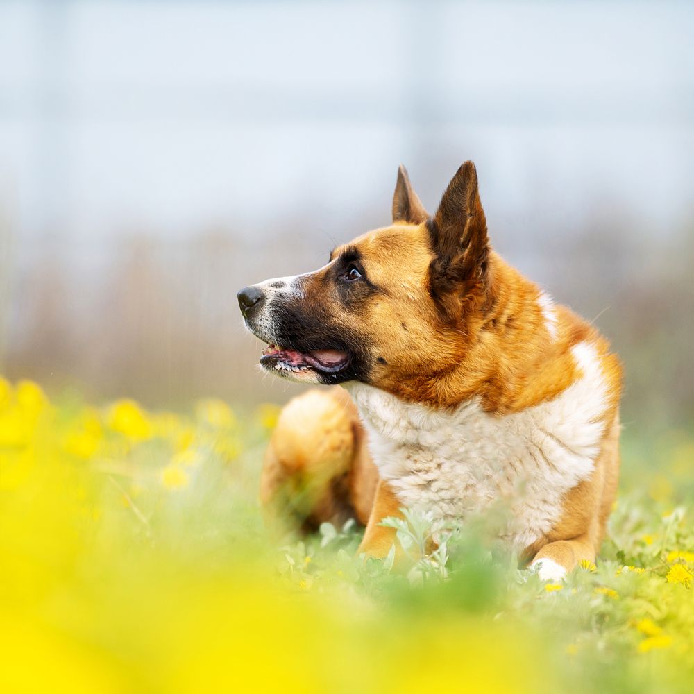 Photograph by Анна Тюрина