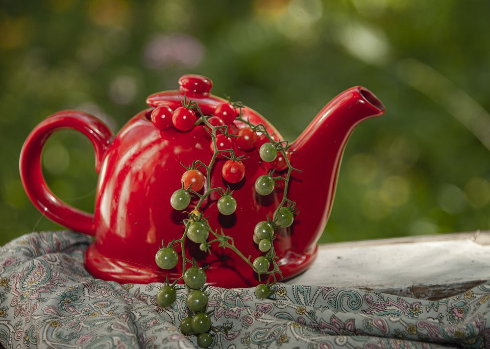 Photograph by Евгения Грачева