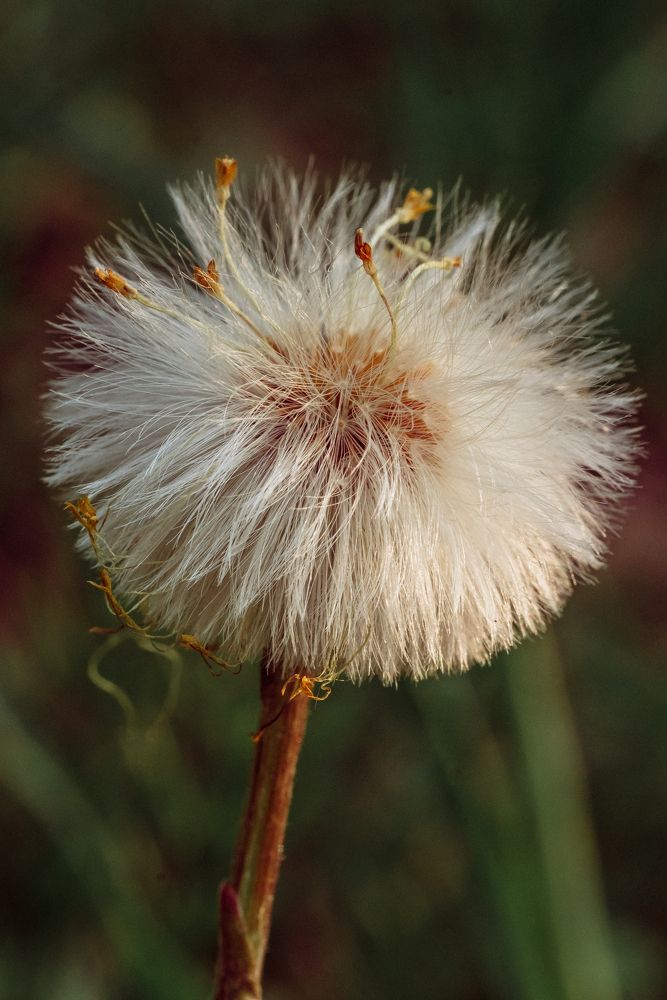 Photograph by Мария Янковская