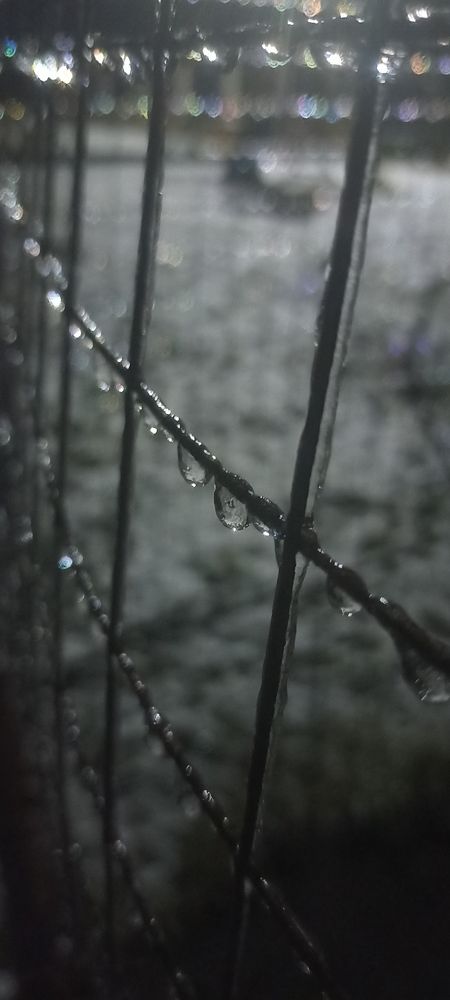 Photograph by Светлана Муракаева
