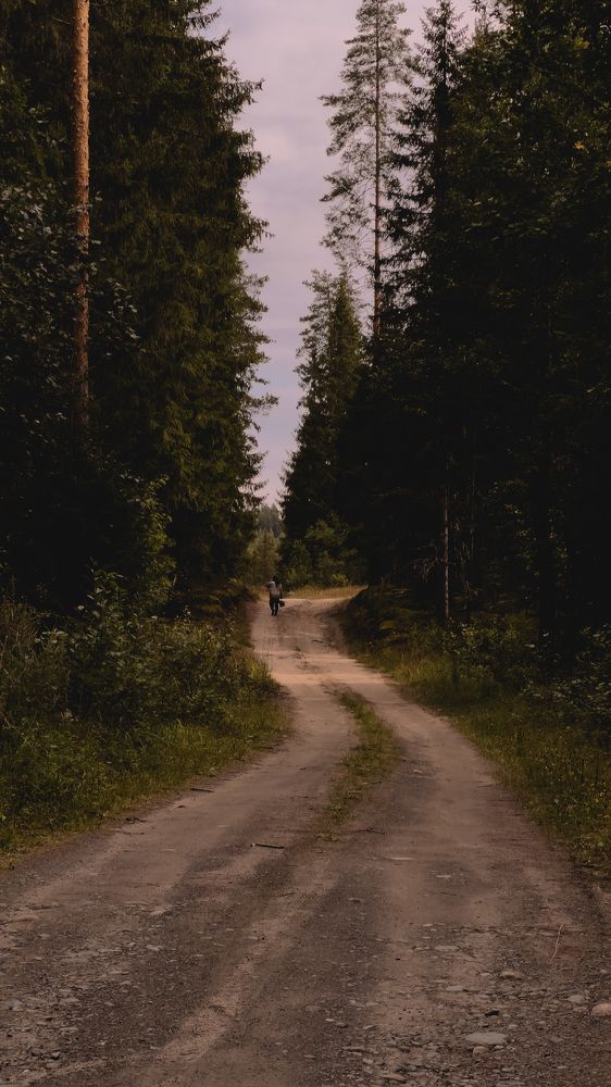 Photograph by Алиса Нежинская