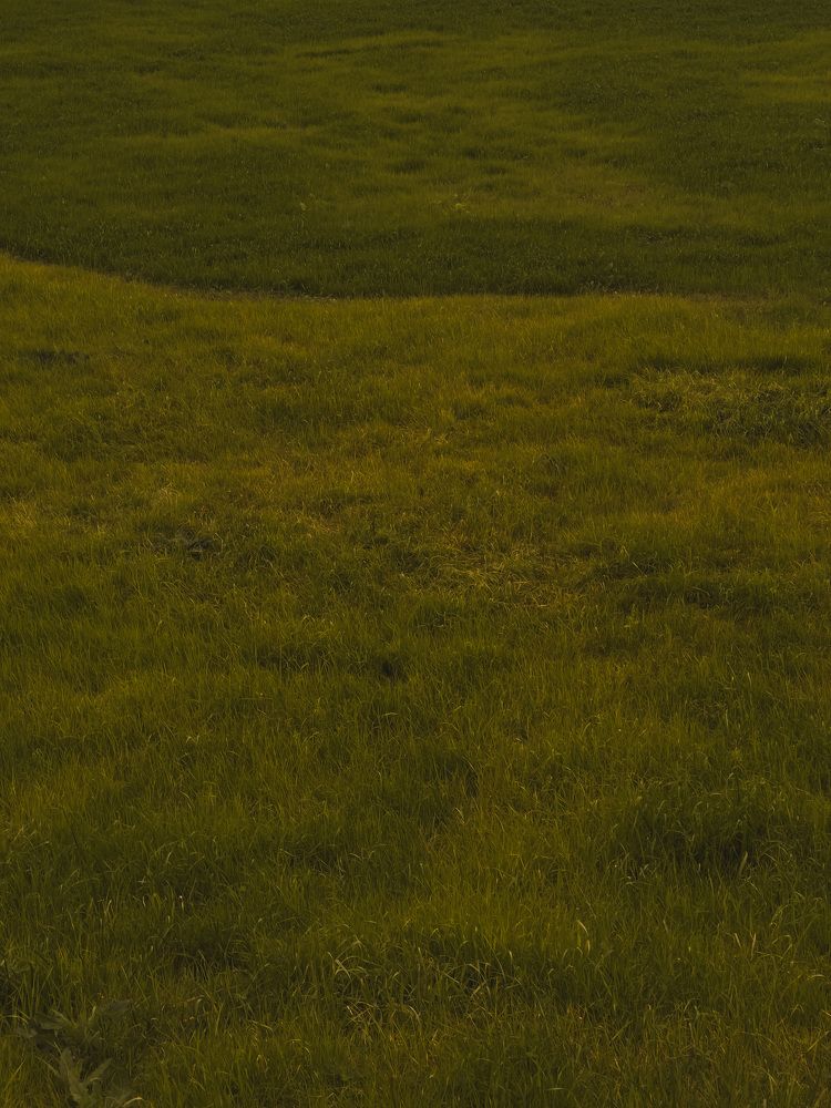 Photograph by Алиса Нежинская