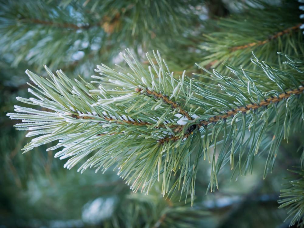 Photograph by Юлия Скачкова